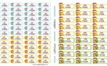 Motivasyon Puanları