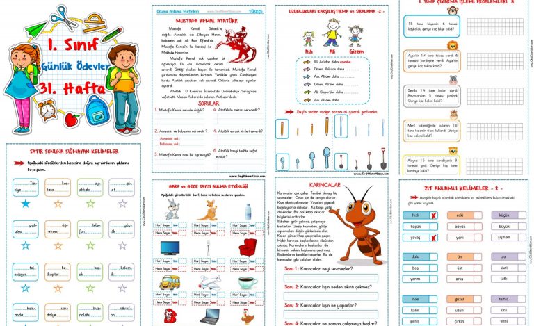 1. Sınıf Haftalık Ödev 31. Hafta - Seyit Ahmet Uzun – Eğitime Yeni Bir ...